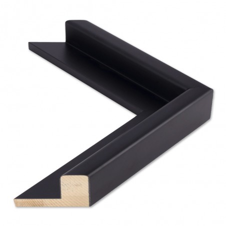 Canvas - Under the Same Sky