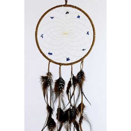 Dream Catcher