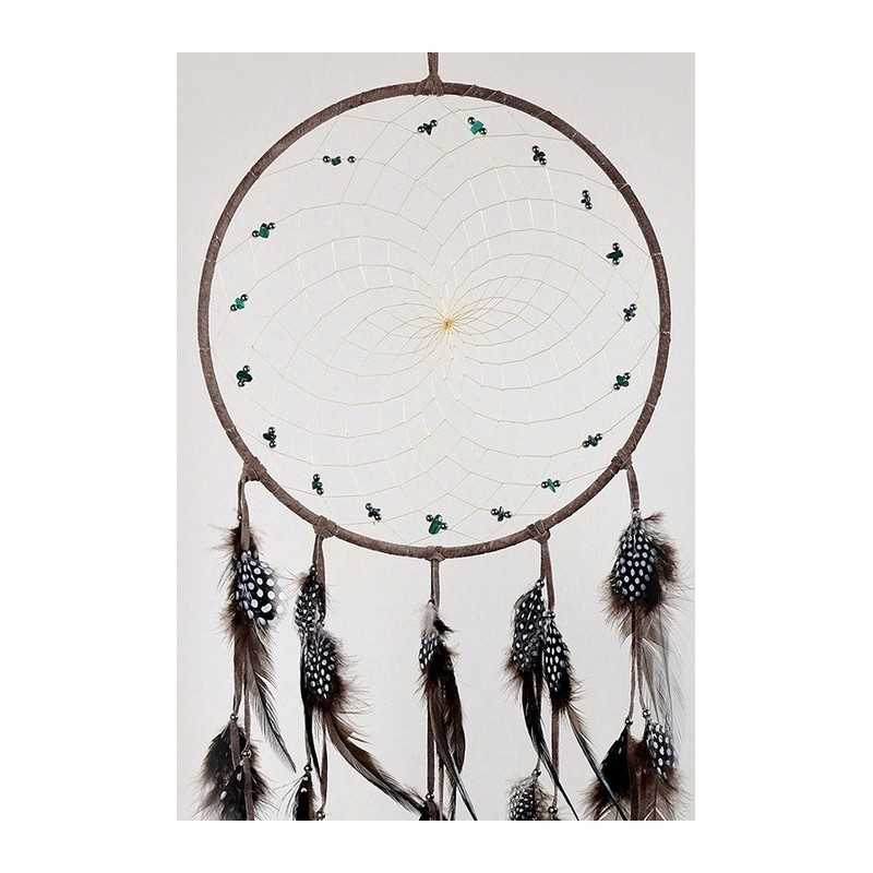 Dream Catcher