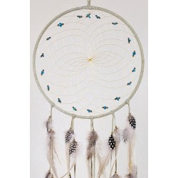 Dream Catcher 2