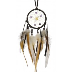 "Vision Seeker" Dream Catcher