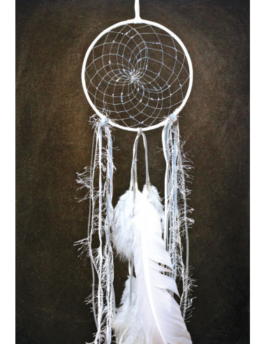 "Seasons" Dream Catcher