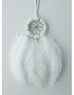 Dream Catcher