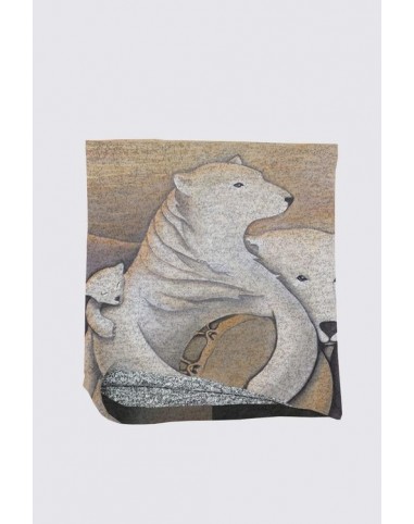 Cache-Cou Alice "Gardiens du Nord"